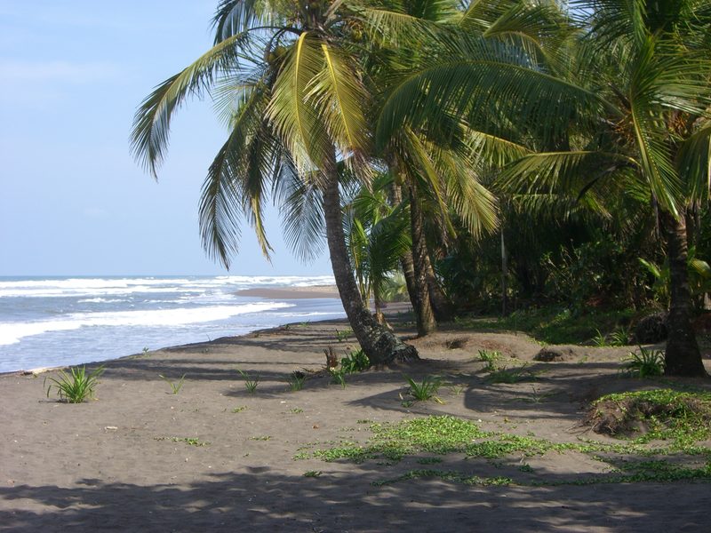 Parque Nacional Tortuguero
